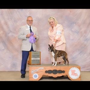 Meet your Posher, Connie